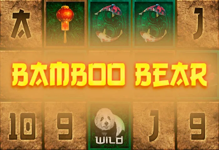 Palmslotscasino security features and responsible gaming information