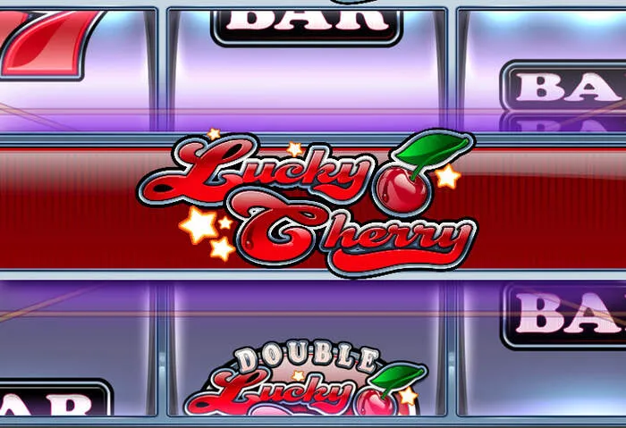 Palmslots Casino bonus eligibility and maximum bet rules