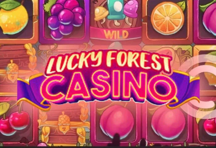 Secure online gaming and trusted entertainment at Palmslotscasino